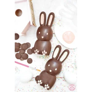 Moule 3D Chocolat Lapin Scrapcooking magasin 12