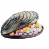 site en ligne MALLARD FERRIERE Moule à Chocolat Coquillage 14,6 Cm 14