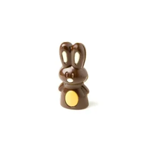 Retour Facile et Gratuit Moule à Chocolat Lapin (x16) Chocolate World 6