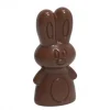 Moule à Chocolat Lapin (x16) Chocolate World se précipiter pour acheter 28