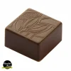 De Qualité Moule Chocolat Praline Carrée Fève 2,5 Cm (x24) Chocolat Form 8