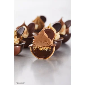 qualité supérieure Moule Chocolat Sphère Aplatie 3 Cm (x24) Chocolate World 9